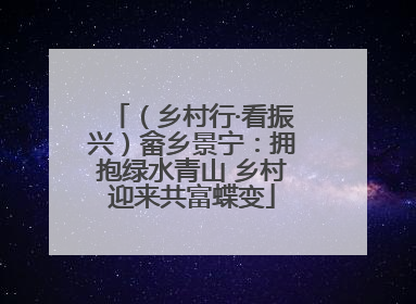 （乡村行·看振兴）畲乡景宁：拥抱绿水青山 乡村迎来共富蝶变