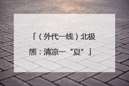 （外代一线）北极熊：清凉一“夏”