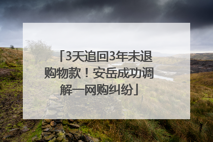 3天追回3年未退购物款！安岳成功调解一网购纠纷