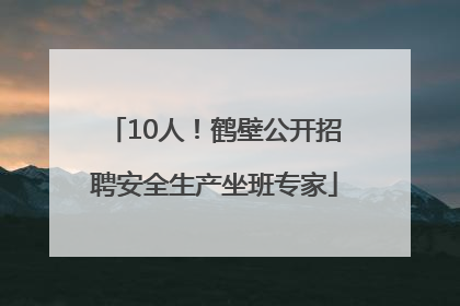 10人！鹤壁公开招聘安全生产坐班专家