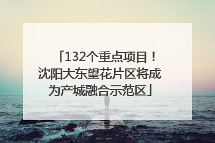 132个重点项目！沈阳大东望花片区将成为产城融合示范区