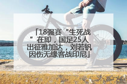 18强赛“生死战”在即，国足25人出征雅加达，刘若钒因伤无缘客战印尼