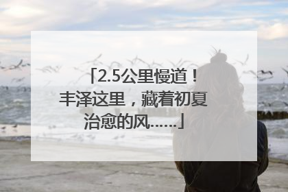 2.5公里慢道！丰泽这里，藏着初夏治愈的风……