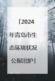 2024年青岛市生态环境状况公报出炉