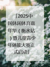2025中国休闲体育嘉年华（衡水站）暨儿童青少年体能大赛正式启动