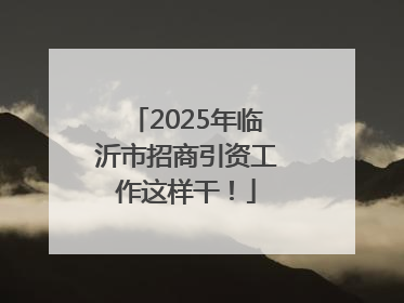 2025年临沂市招商引资工作这样干！