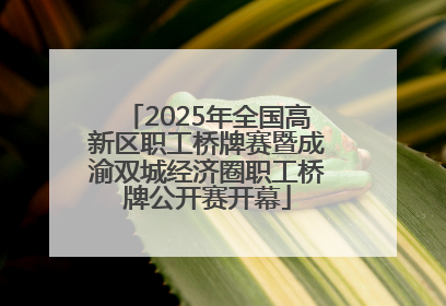 2025年全国高新区职工桥牌赛暨成渝双城经济圈职工桥牌公开赛开幕