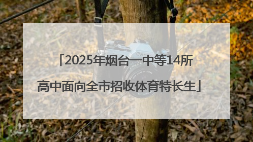 2025年烟台一中等14所高中面向全市招收体育特长生