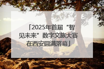 2025年首届“智见未来”数字文旅大赛在西安圆满落幕