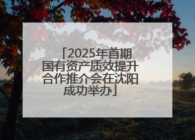 2025年首期国有资产质效提升合作推介会在沈阳成功举办