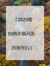2025维也纳多瑙河龙舟赛举行