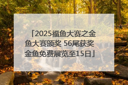 2025福鱼大赛之金鱼大赛颁奖 56尾获奖金鱼免费展览至15日