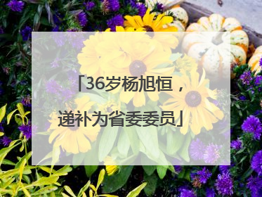 36岁杨旭恒，递补为省委委员