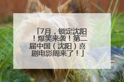 7月，锁定沈阳！爆笑来袭！第二届中国（沈阳）喜剧电影周来了！
