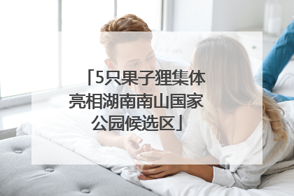 5只果子狸集体亮相湖南南山国家公园候选区