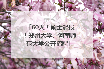 60人！硕士起报！郑州大学、河南师范大学公开招聘