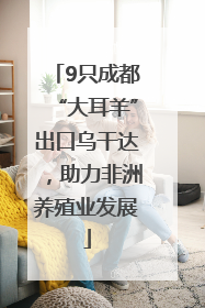 9只成都“大耳羊”出口乌干达，助力非洲养殖业发展