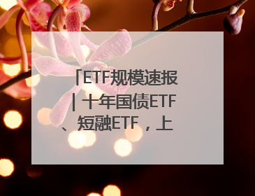 ETF规模速报｜十年国债ETF、短融ETF，上周五净流入额均超20亿元