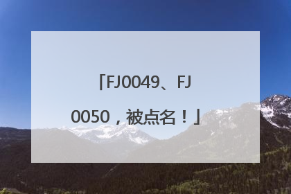 FJ0049、FJ0050，被点名！