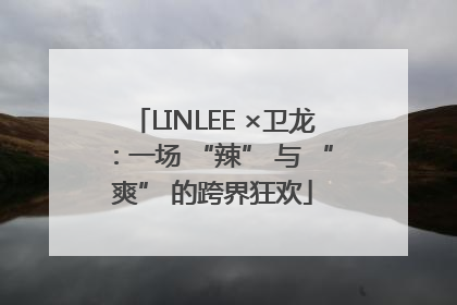 LINLEE ×卫龙：一场 “辣” 与 “爽” 的跨界狂欢