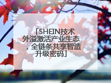 SHEIN技术外溢激活产业生态，全链条共享智造升级密码
