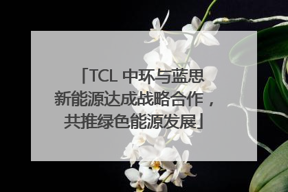 TCL 中环与蓝思新能源达成战略合作，共推绿色能源发展